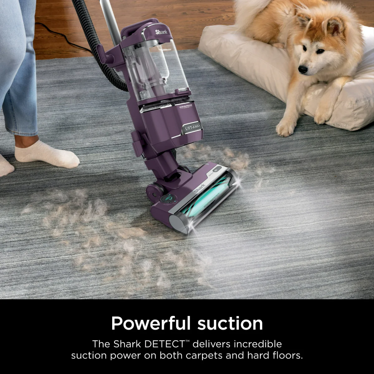 Shark Detect Lift-Away Upright Vacuum with Self-Cleaning Brushroll - Purple - Image 2
