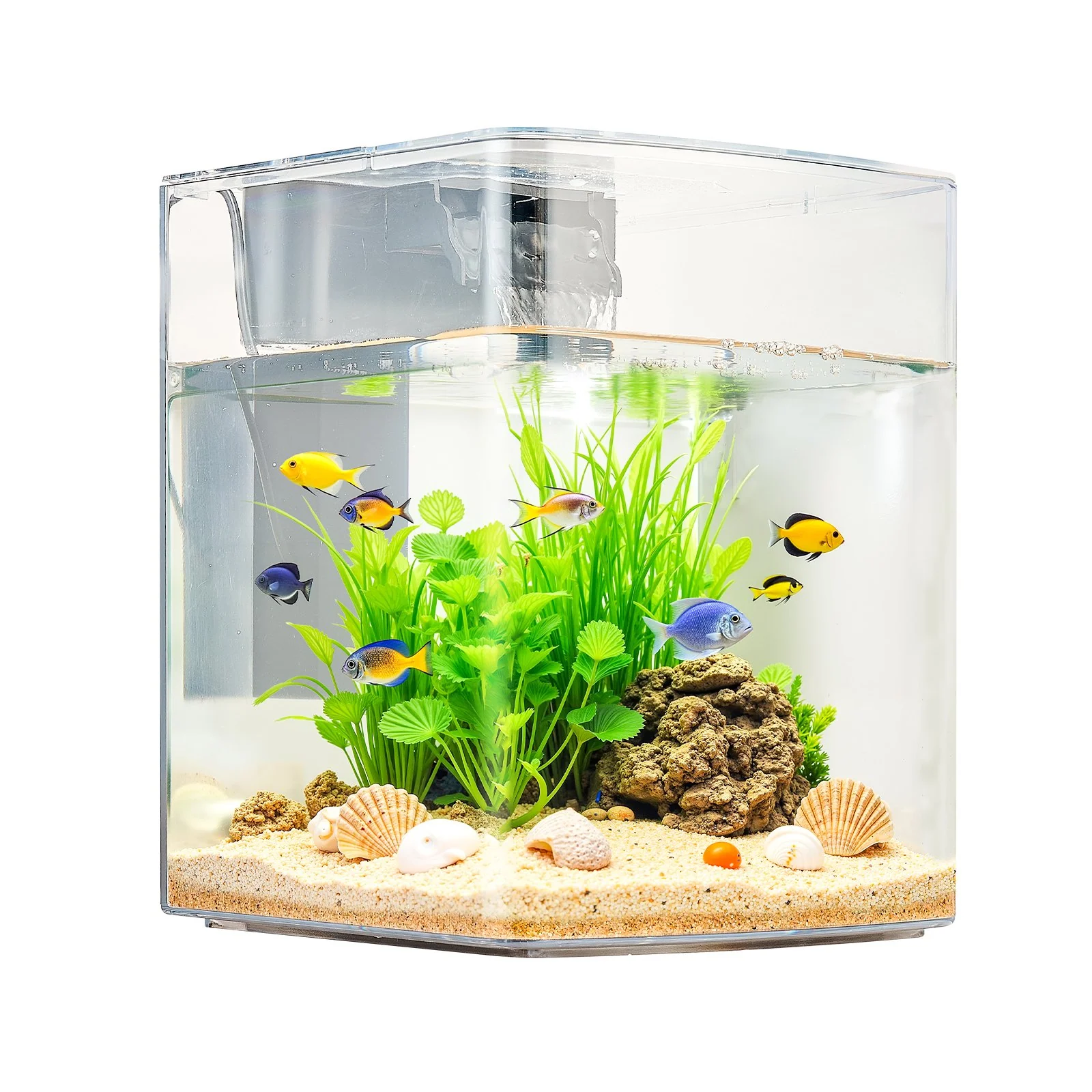 2 Gallon Fish Tank Aquarium Smart Arch Clear GPPS 3 Color Self Cleaning - Image 10