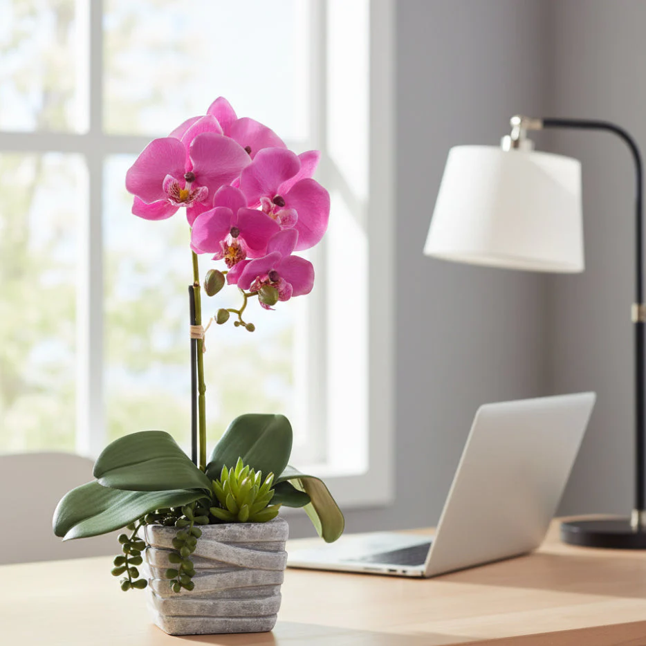 Allstate Floral 16" Phalaenopsis Orchid & Succulent Flower Arrangement with Pot - Pink - Image 2