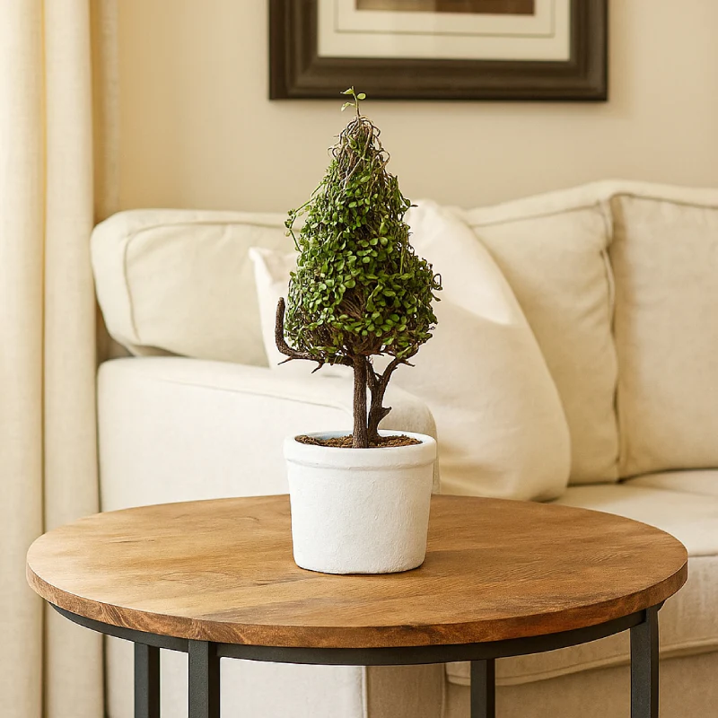 Allstate Floral 11" Baby's Tear Cone-Shaped Artificial Topiary with Clay Pot -Green - Image 2