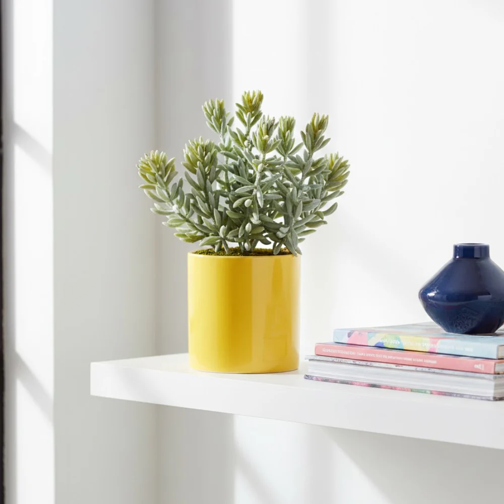 Allstate Floral 8" Sedum Artificial Plant with Ceramic Pot - Green - Image 2