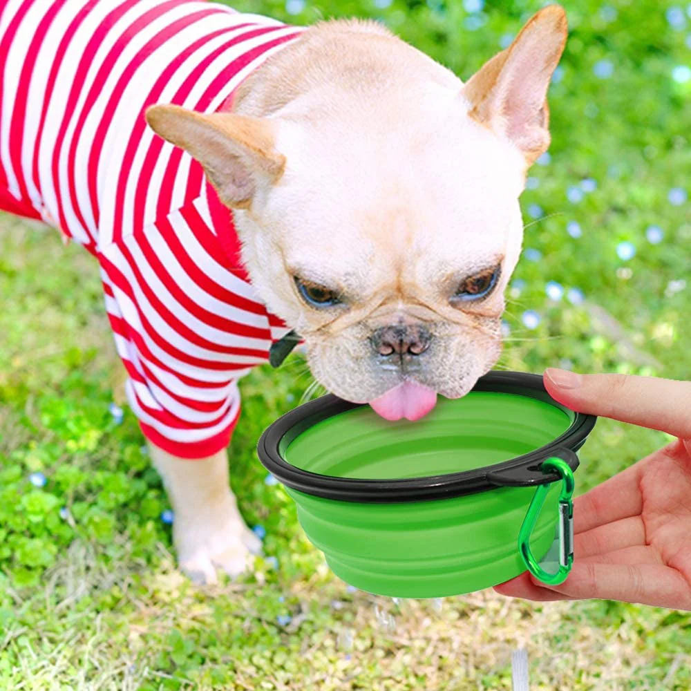 5" Portable and Foldable Small Dog Bowl-Green set of 5 - Image 4