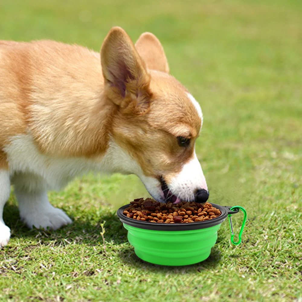 5" Portable and Foldable Small Dog Bowl-Green set of 5 - Image 5