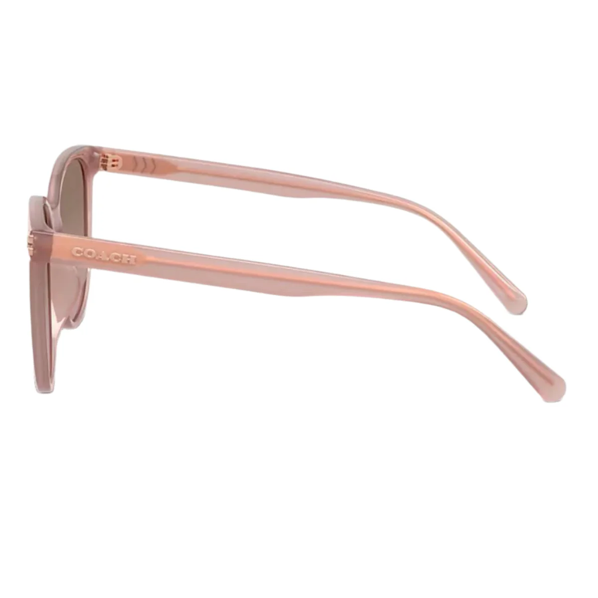 Coach HC8414BD5839 Women's Round Gradient Sunglasses - Image 3