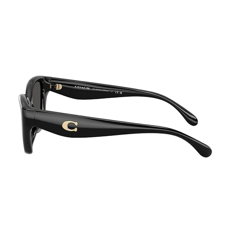 Coach HC8434U Women's Cat-Eye Gradient Sunglasses - Image 3