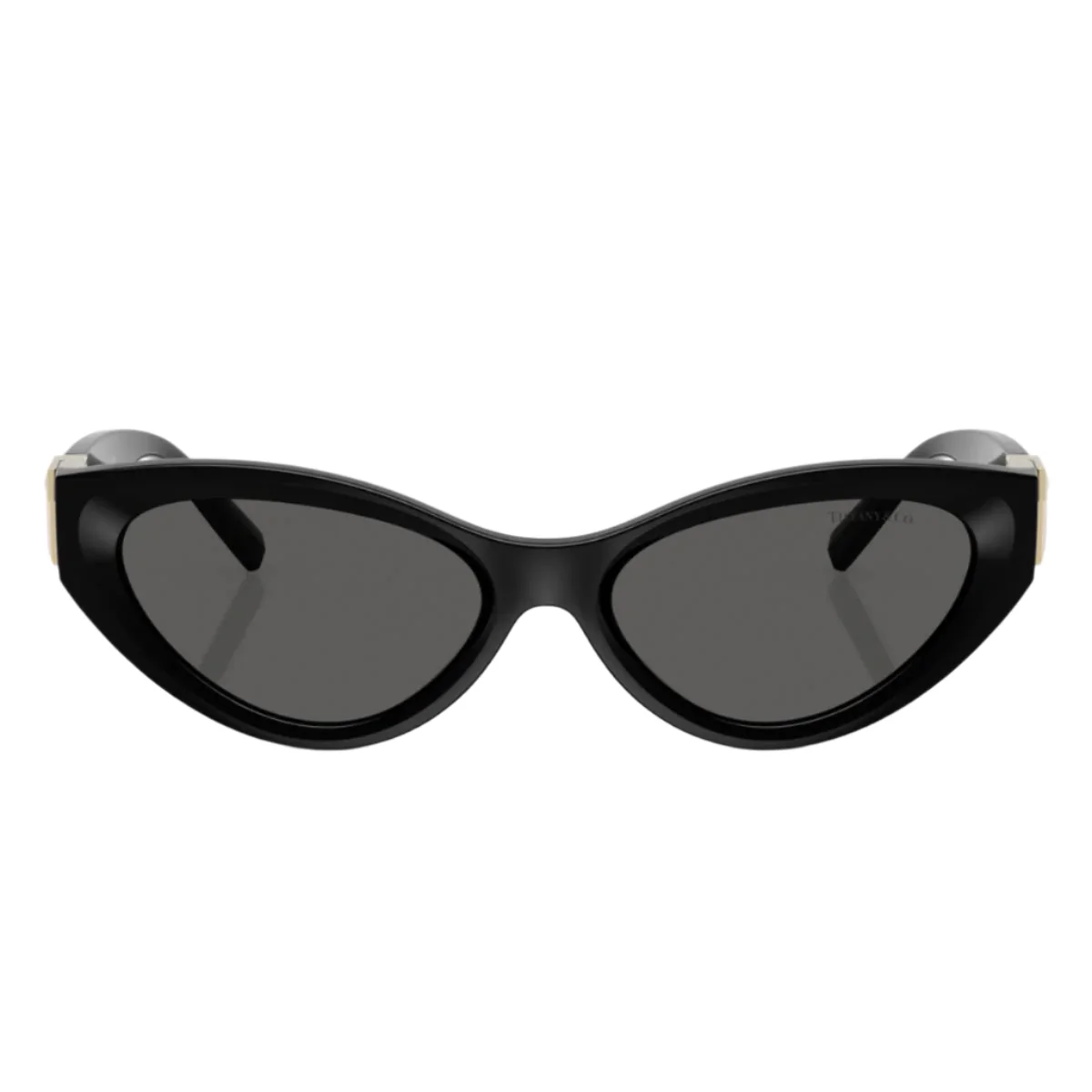Tiffany & Co. TF4225U8001S Woman's Oval Solid Color Sunglasses - Image 2