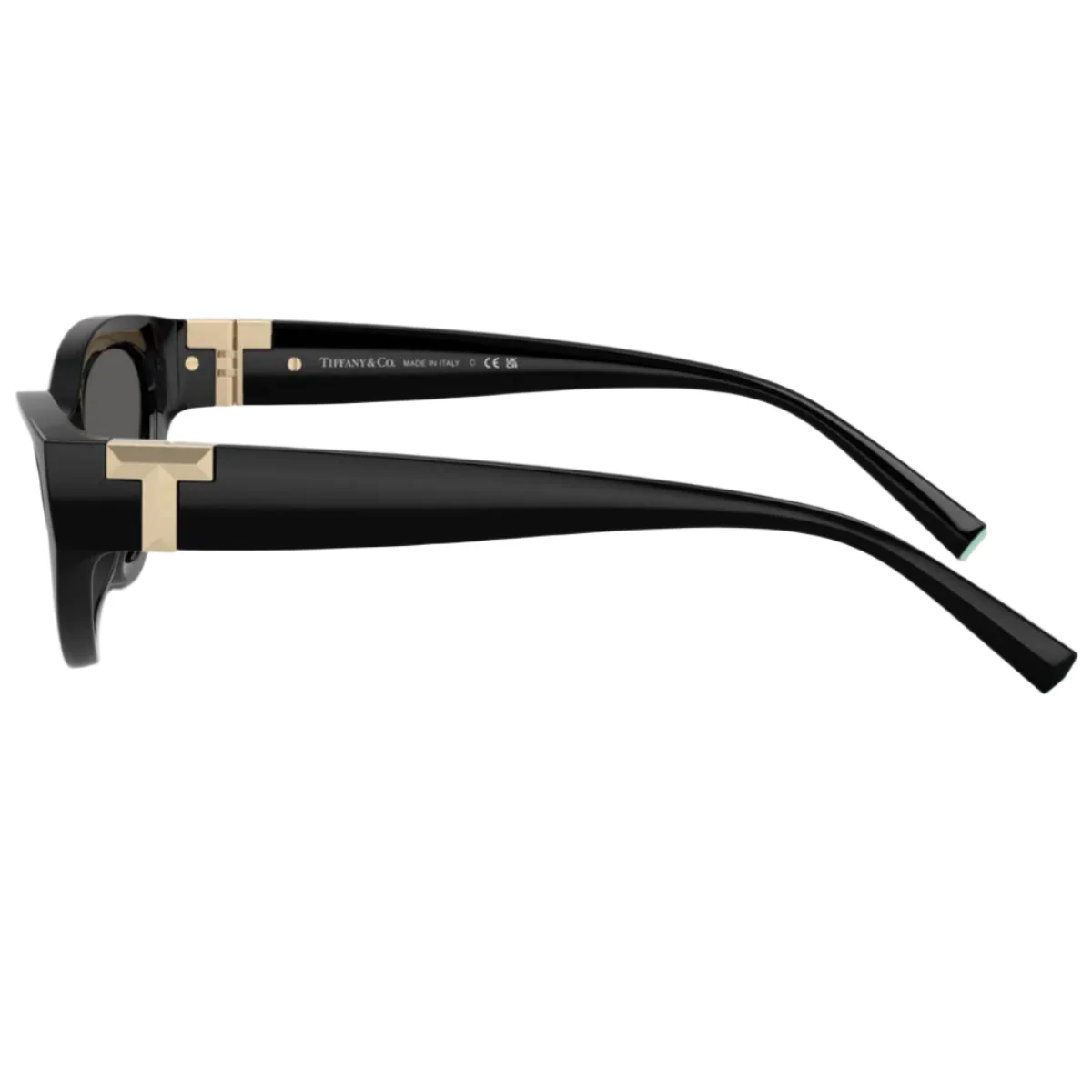 Tiffany & Co. TF4225U8001S Woman's Oval Solid Color Sunglasses - Image 3