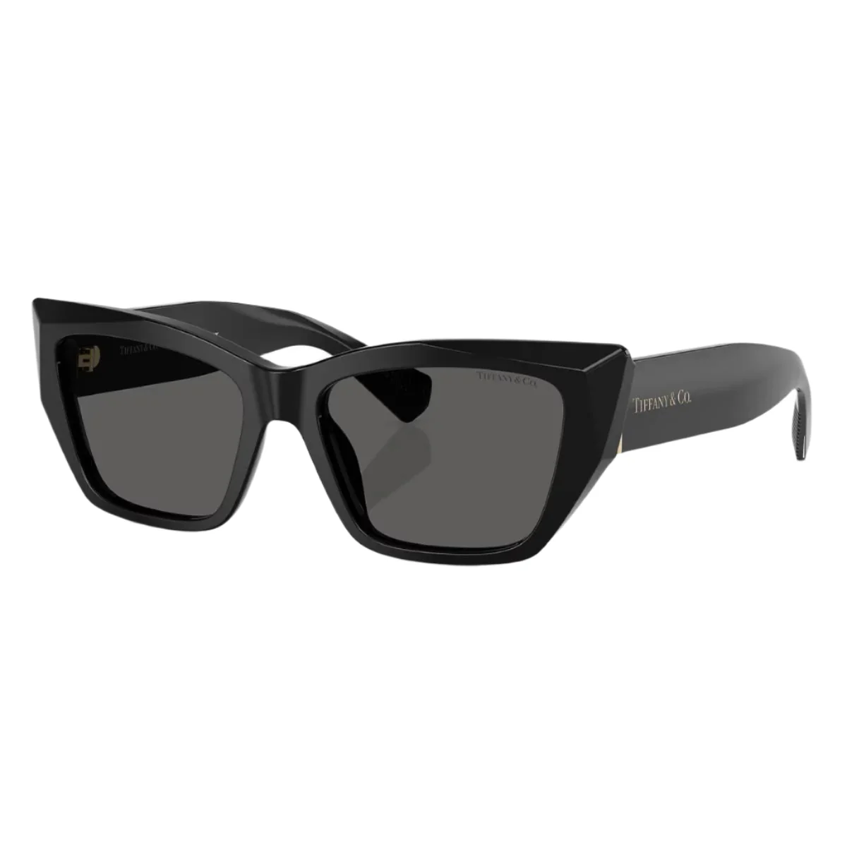 Tiffany & Co. TF42308001S4 Women's Cat Eye Solid Color Sunglasses