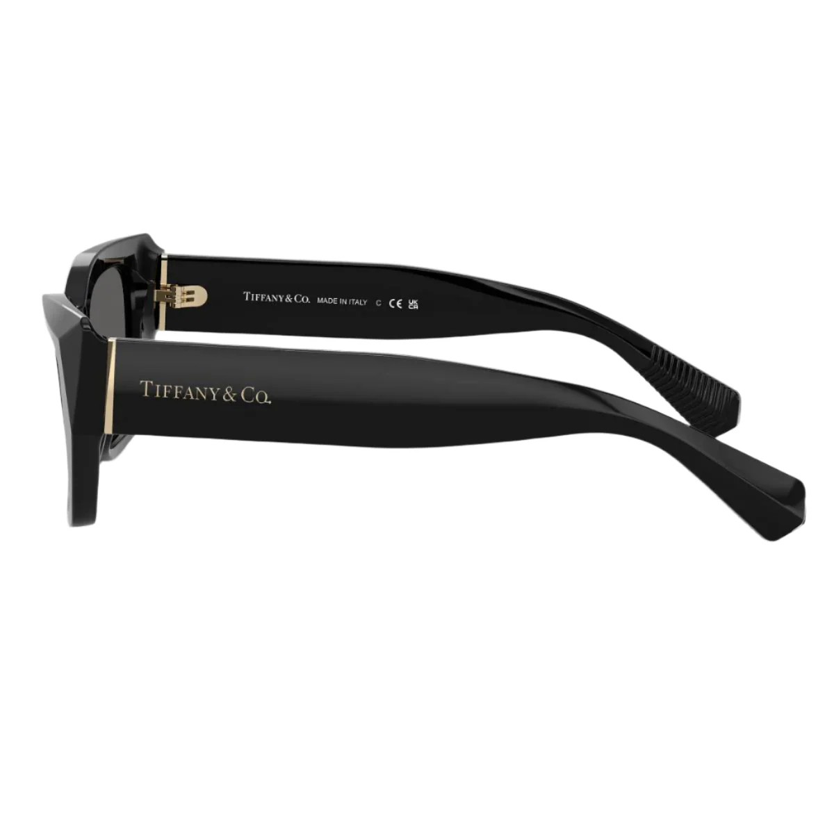 Tiffany & Co. TF42308001S4 Women's Cat Eye Solid Color Sunglasses - Image 3