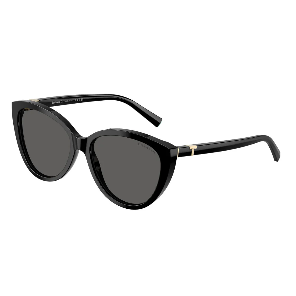 Tiffany & Co. TF4251 Women's Cat Eye Solid Color Sunglasses