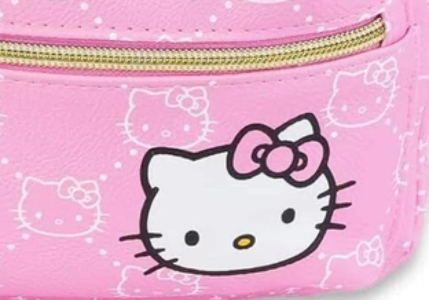 Hello Kitty My Melody Crossbody Camera Bag with Adjustable Strap - Pink - Image 3