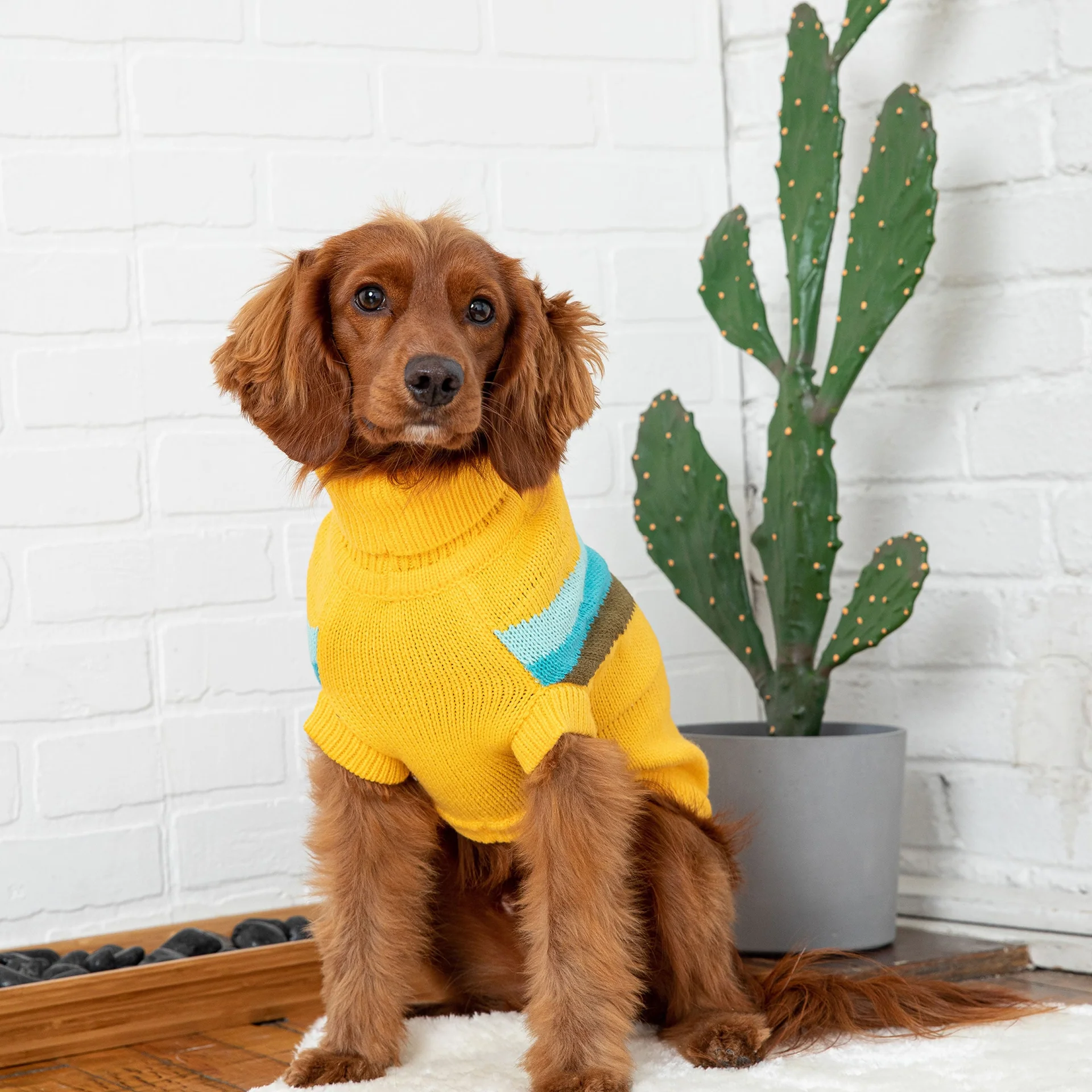 Alpine Sweater - Yellow - Image 4