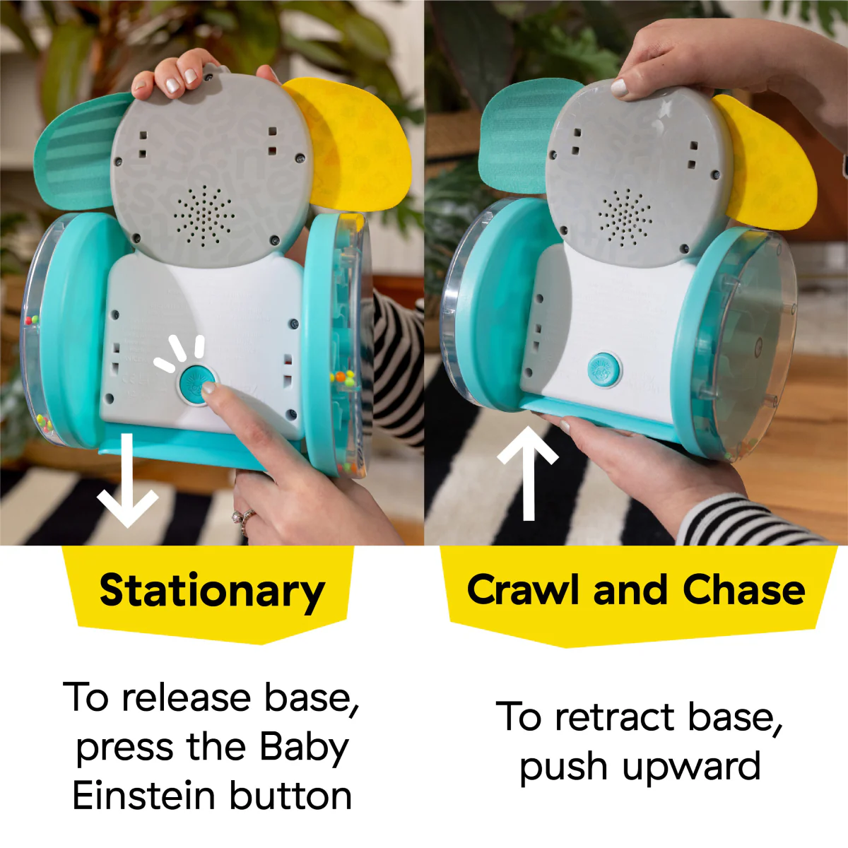 Baby Einstein Chase and Tap Earl Crawling Toy - Image 10