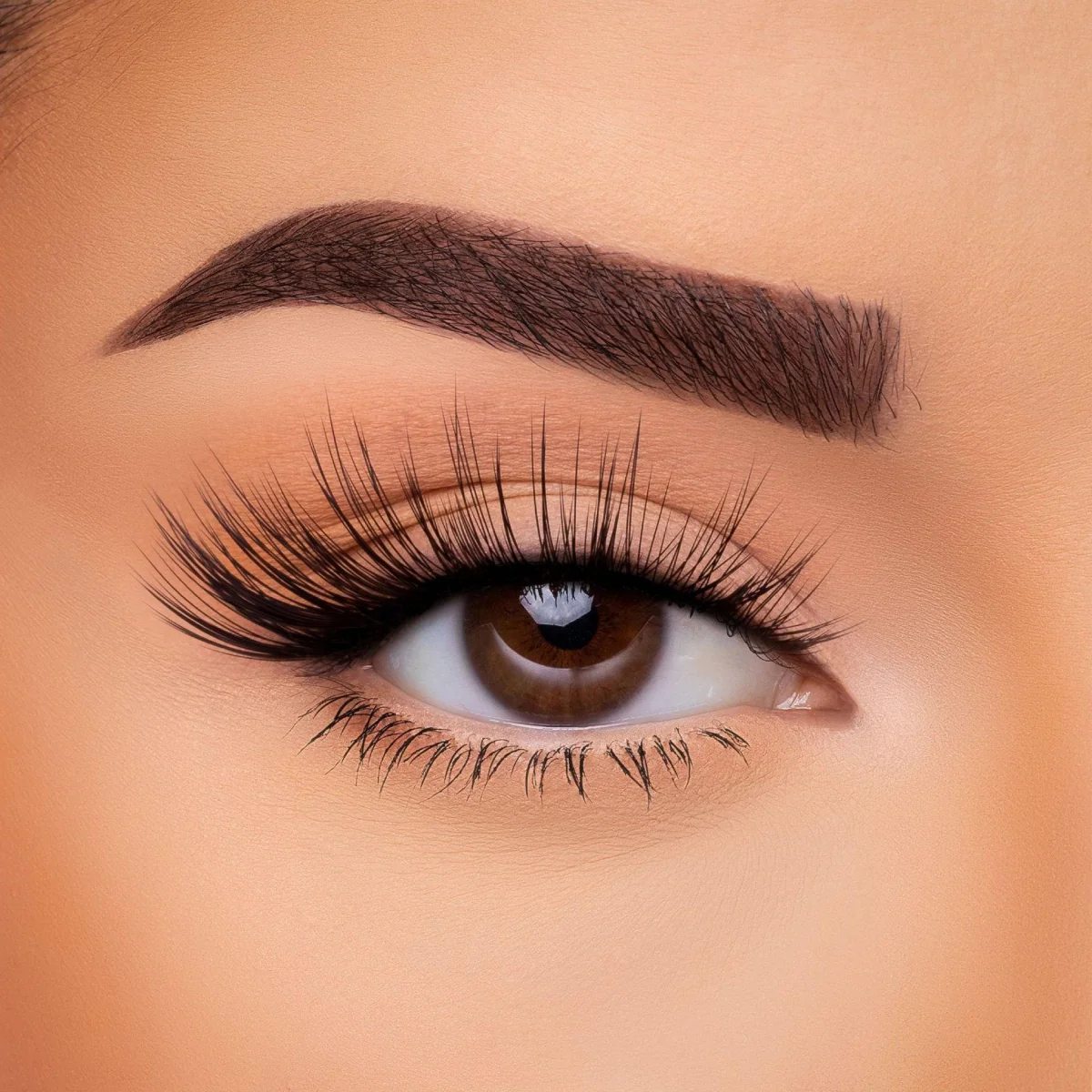 Beauty Creations Cray Cray 3D Silk EyeLashes - Black - Image 5