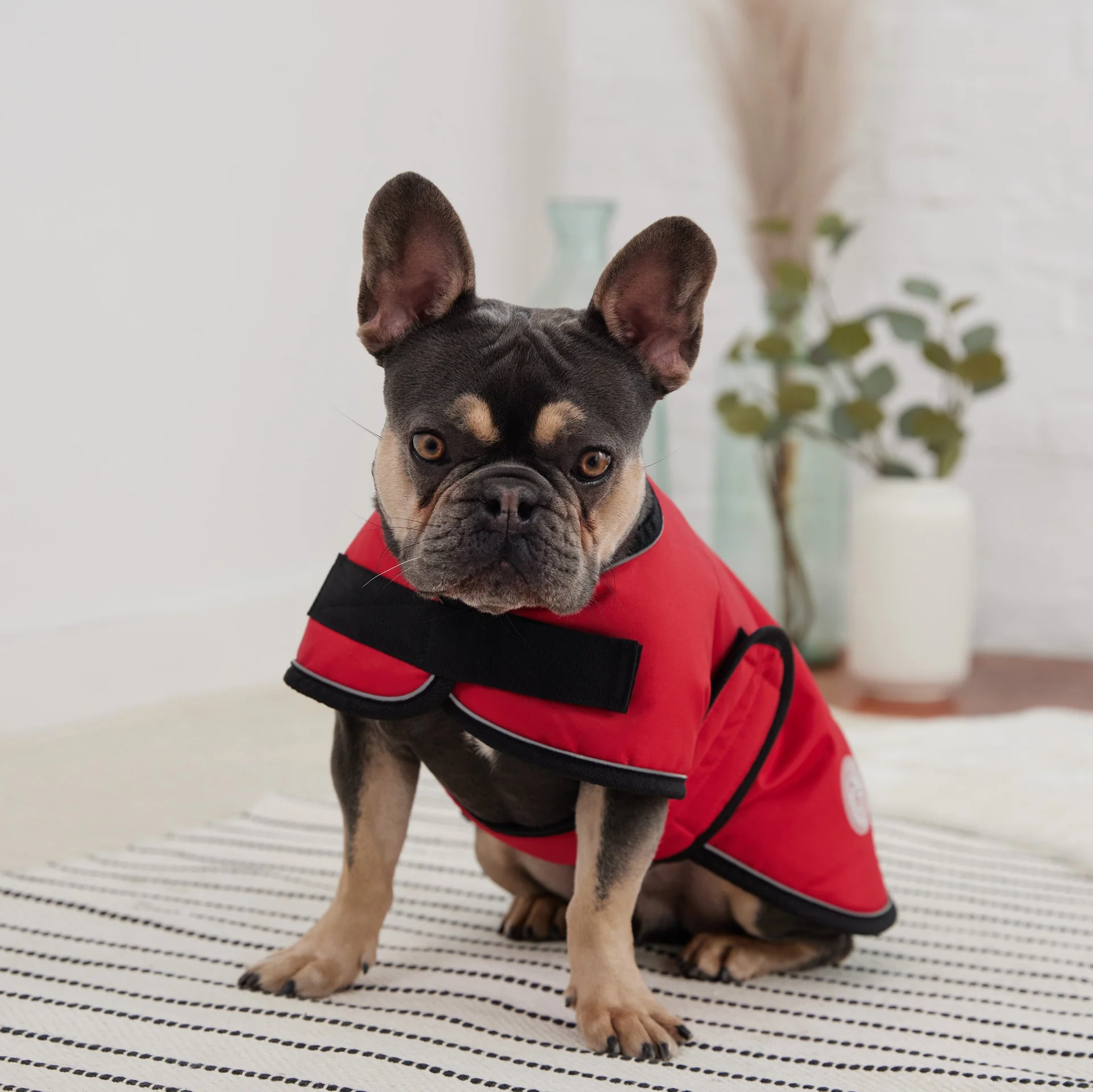 Blanket Jacket - Red - Image 3