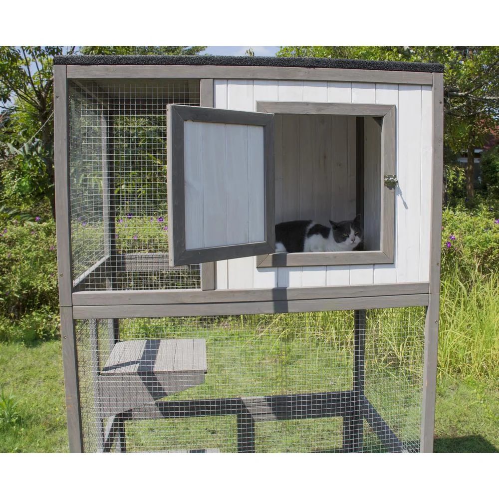 Cat Climber - Image 4