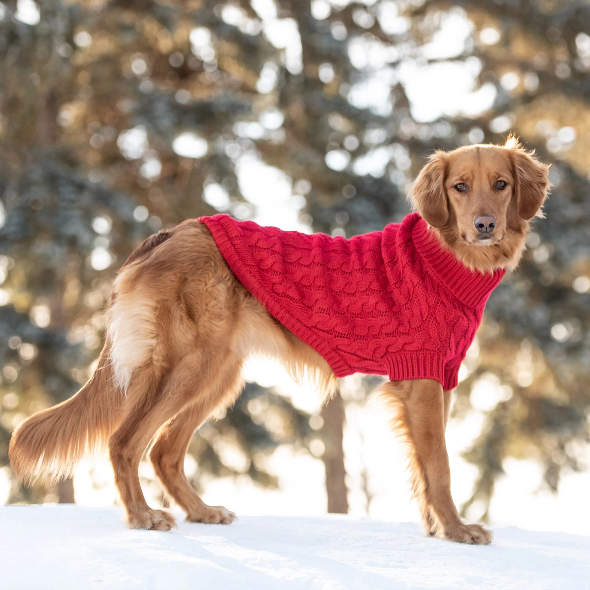 Chalet Sweater - Red - Image 4