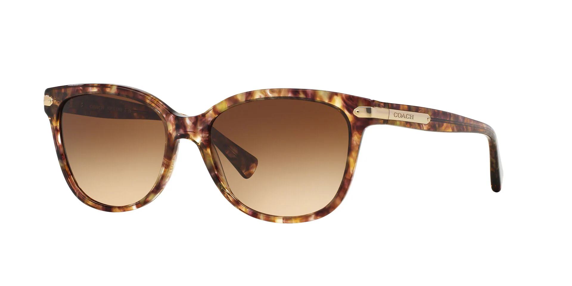 Coach HC8132 Sunglasses - Confetti Light Brown/Brown Gradient - Image 2