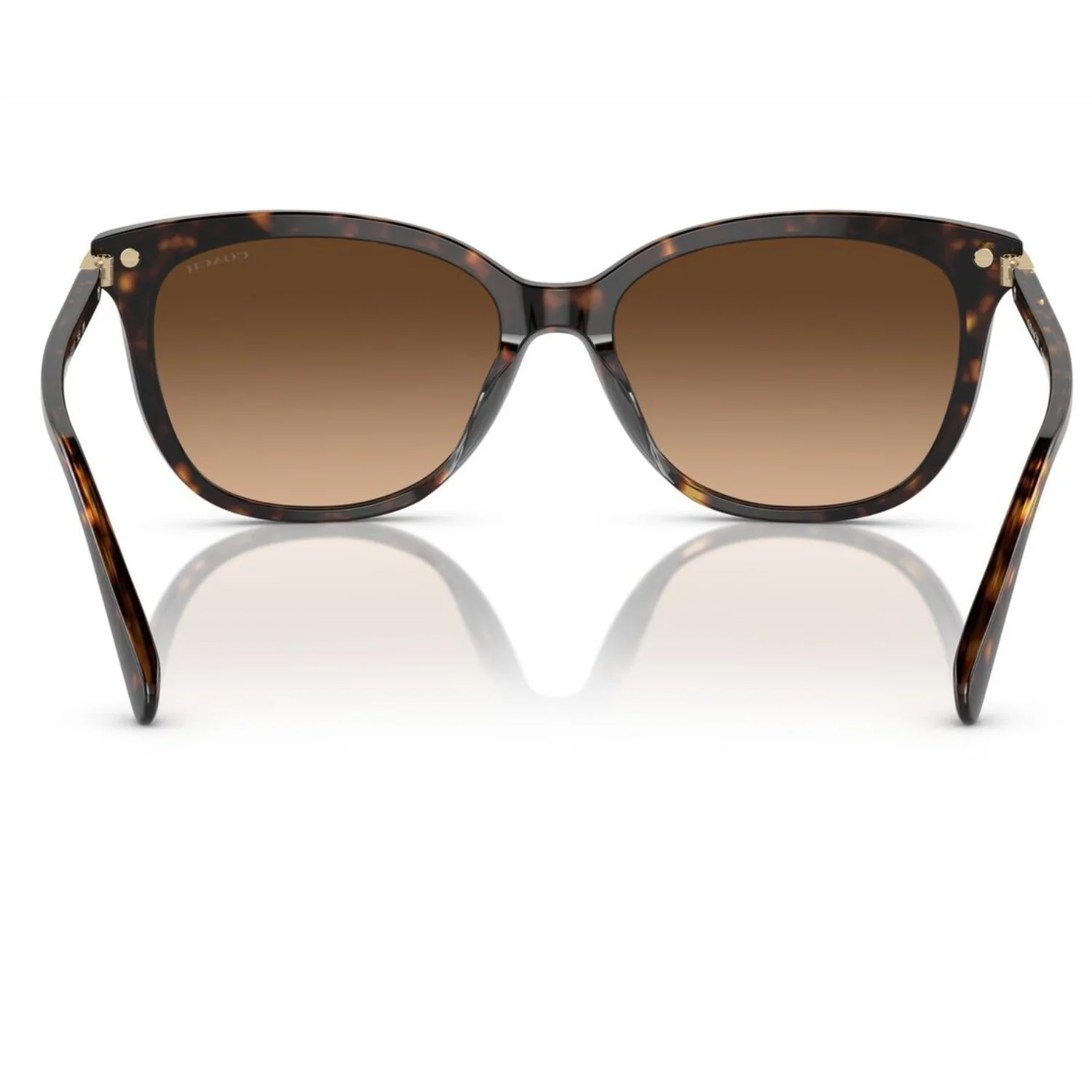 Coach Women's HC8378U51207 Cat Eye Gradient Sunglasses - Image 5