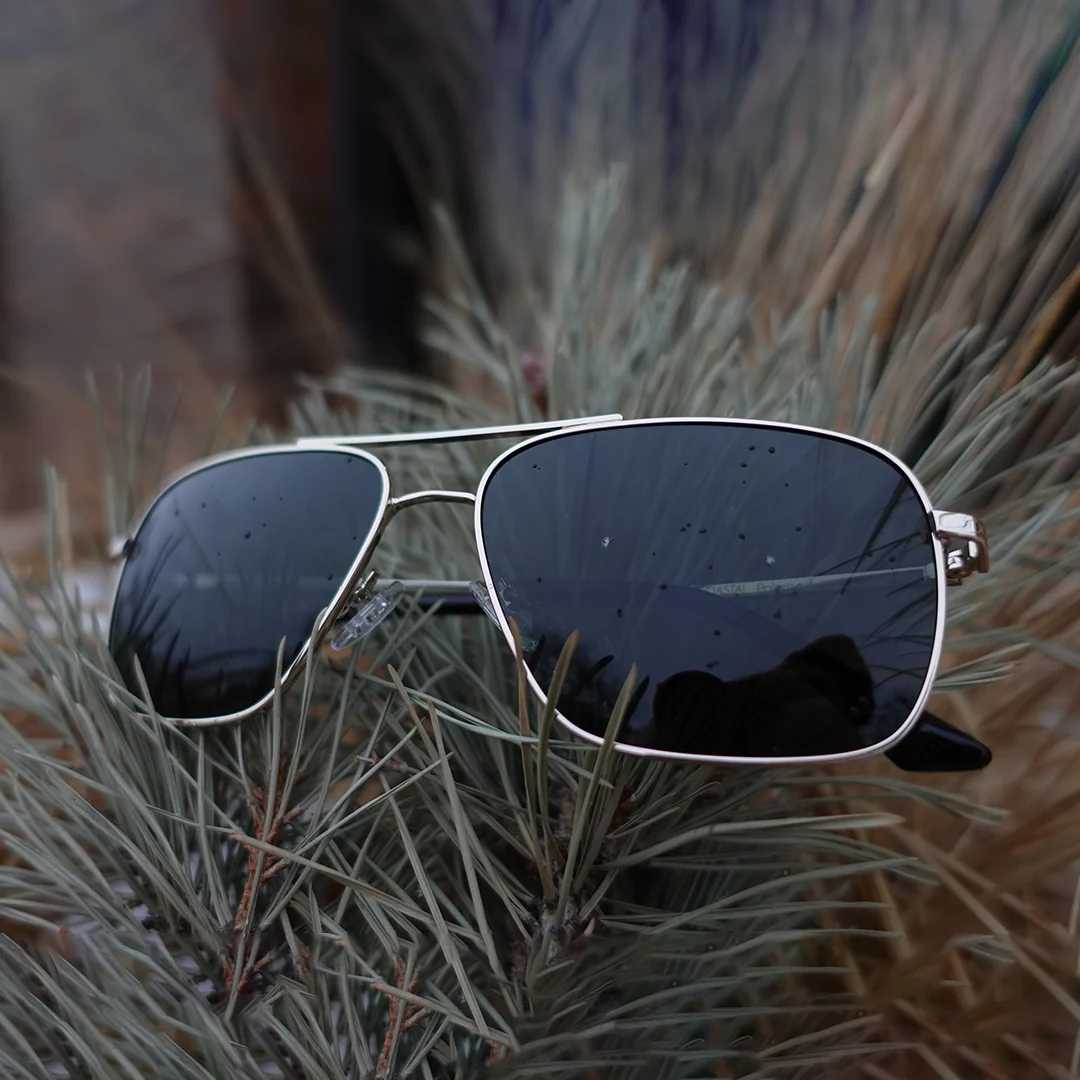 Coastal - Gold- Jet Black Polarized - Image 6