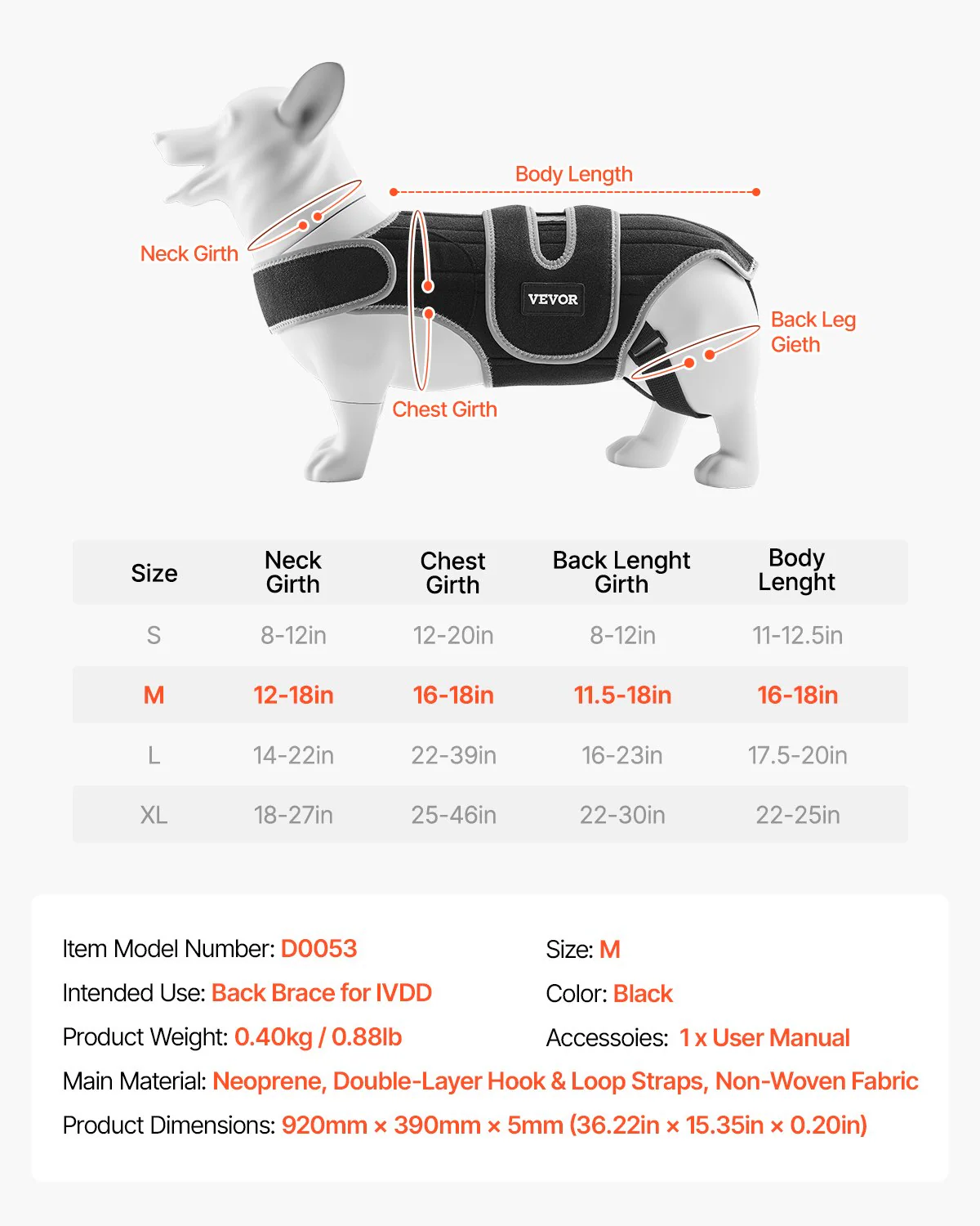 Dog Back Brace Adjustable Dog Spine Support Harness for IVDD After-Surgery - Image 6