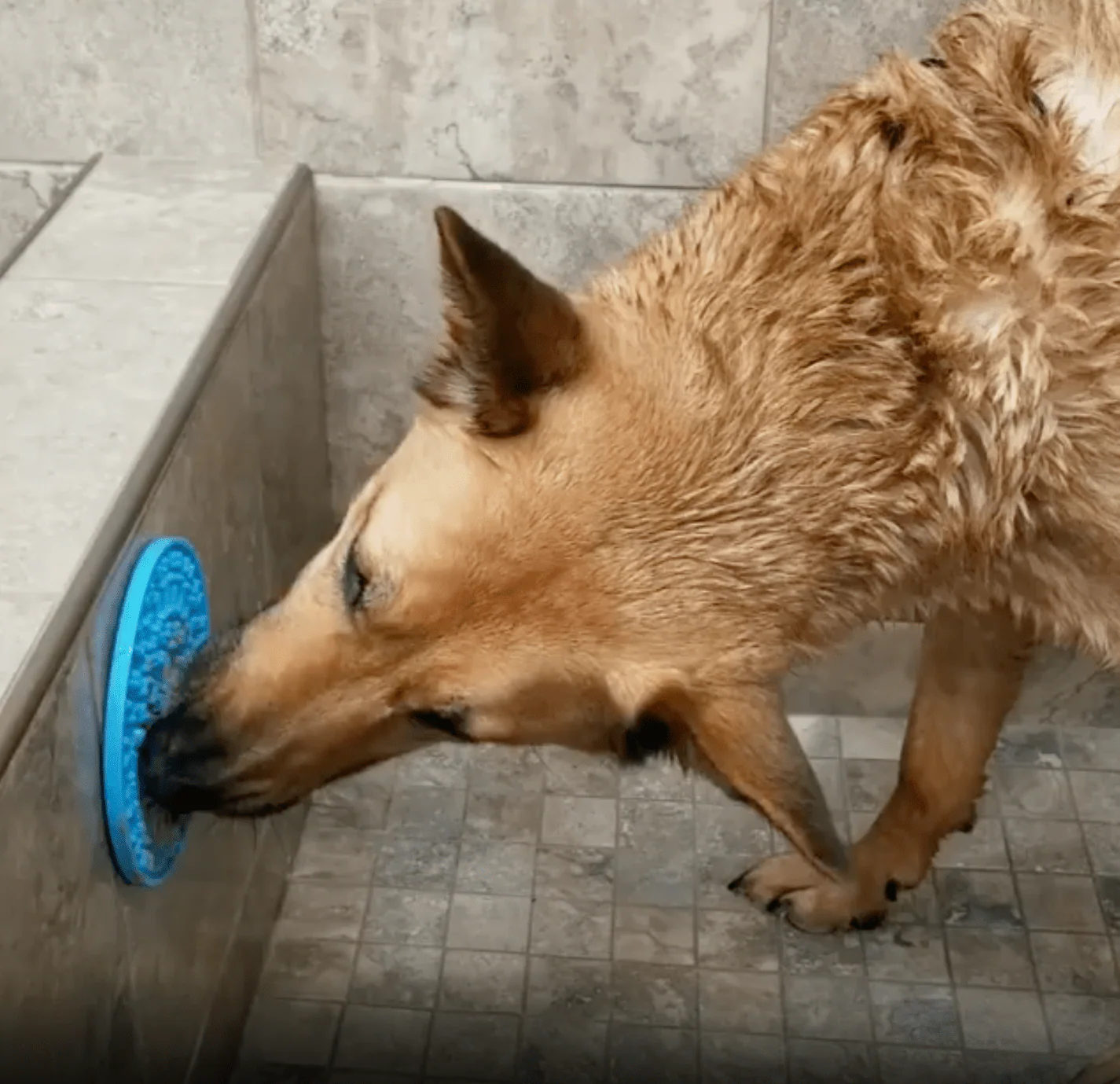Dog Distraction Lick Mat - Image 2