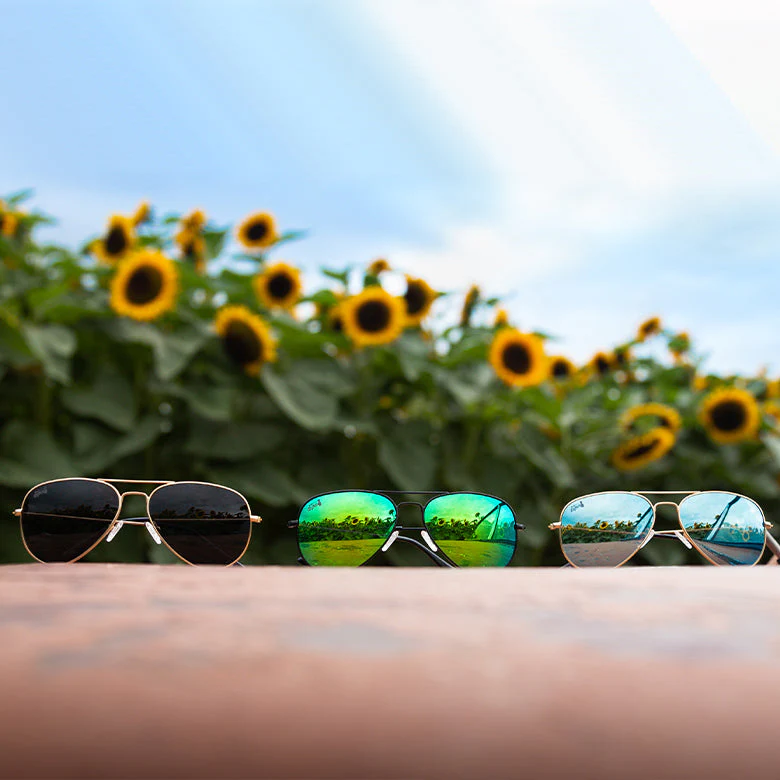 Gold - Jet Black Lens Polarized - Oasis - Image 3
