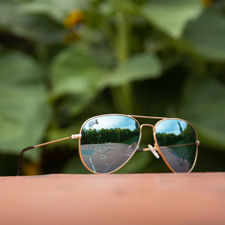 Gold - Sky Blue Lens Polarized - Oasis - Image 2