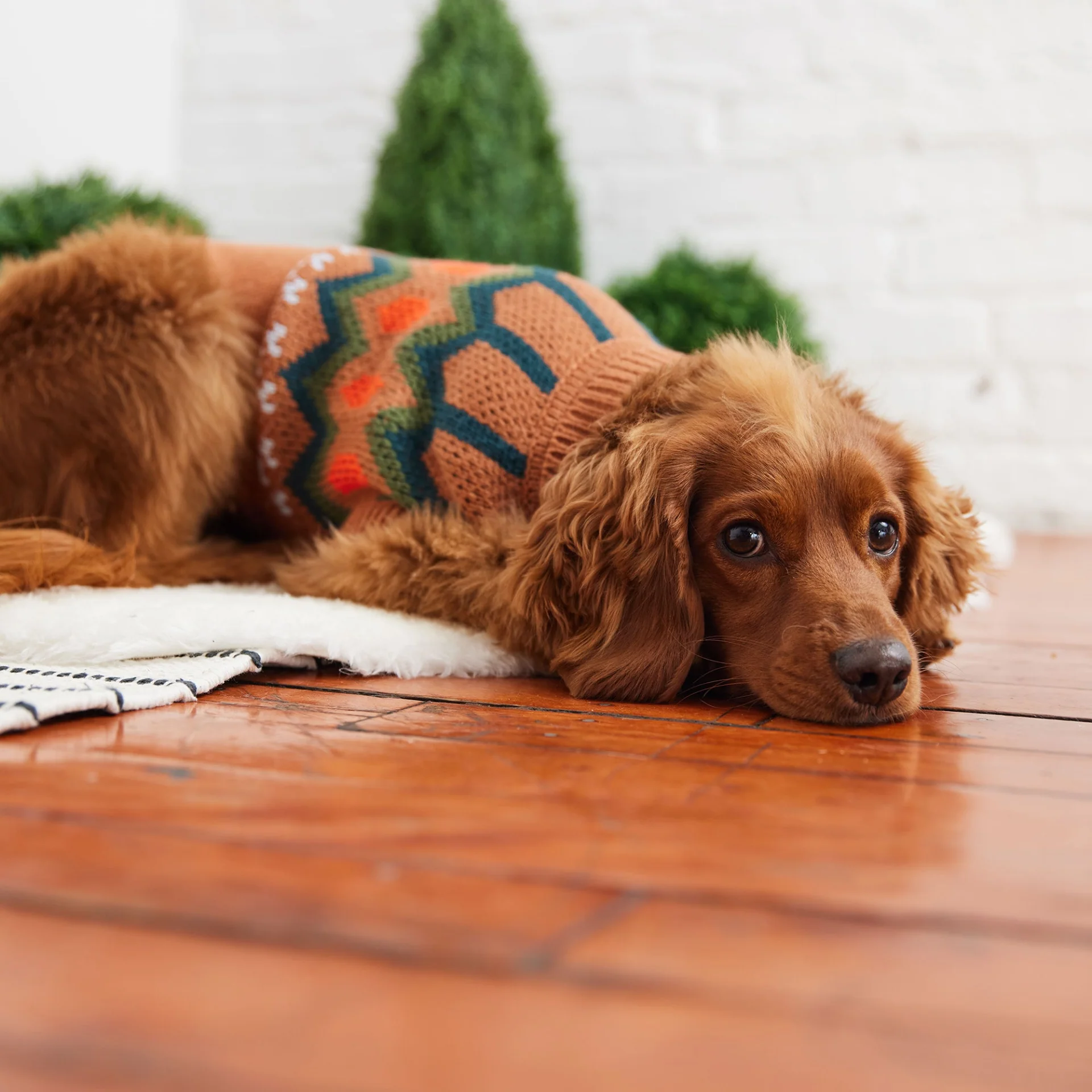 Heritage Sweater - Hazel - Image 4