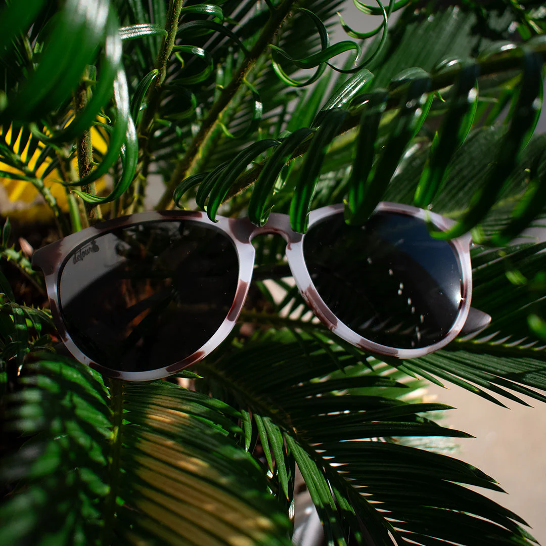 Hurricane - Ivory Tortoise Shell - Jet Black Polarized - Image 3