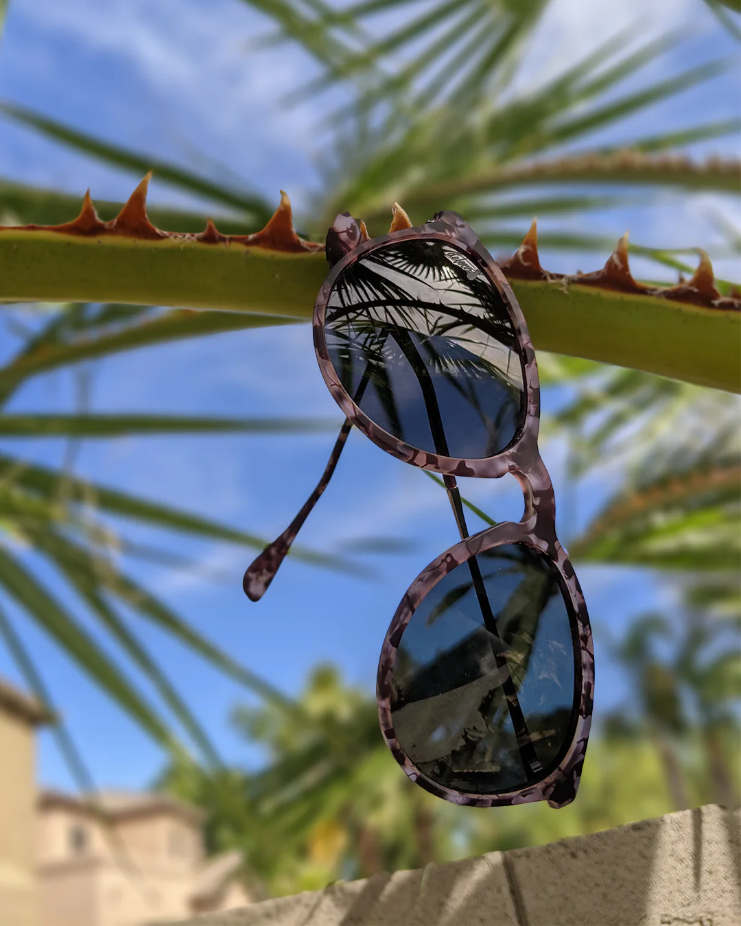 Hurricane - Pink Tortoise Shell - Rose Gold Polarized - Image 2