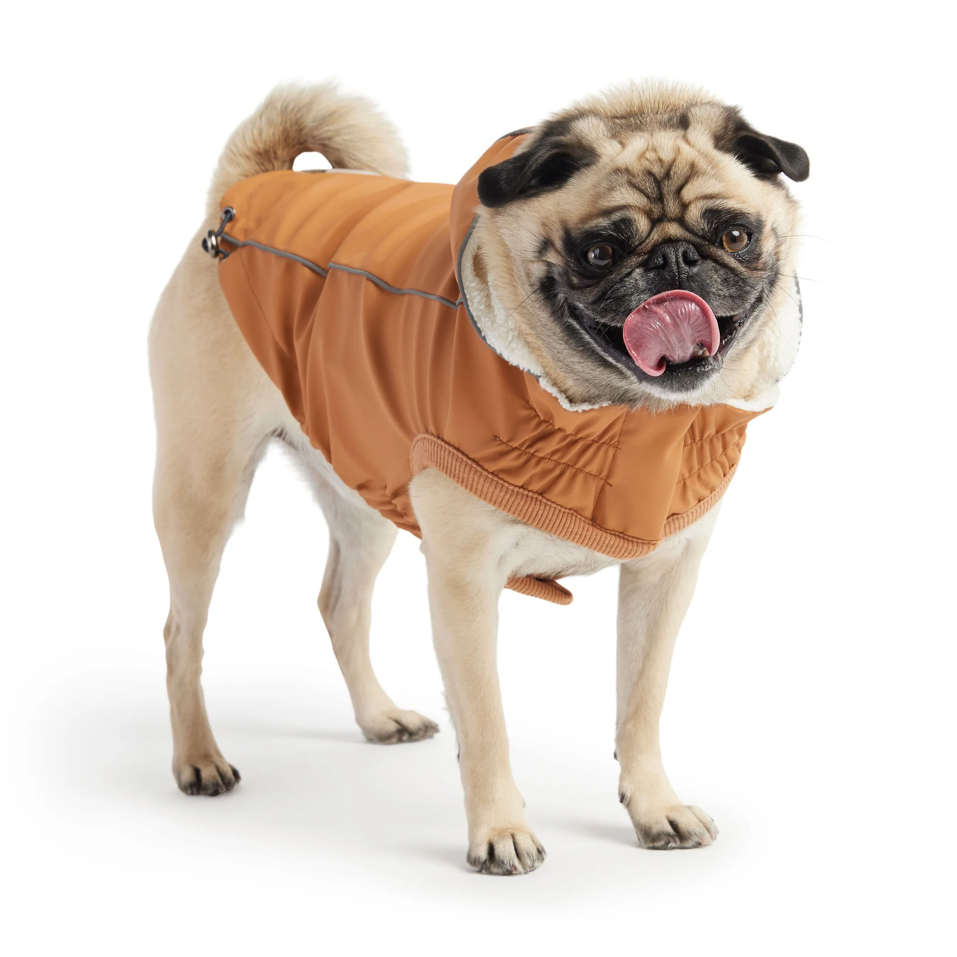 Insulated Raincoat - Hazel - Image 2