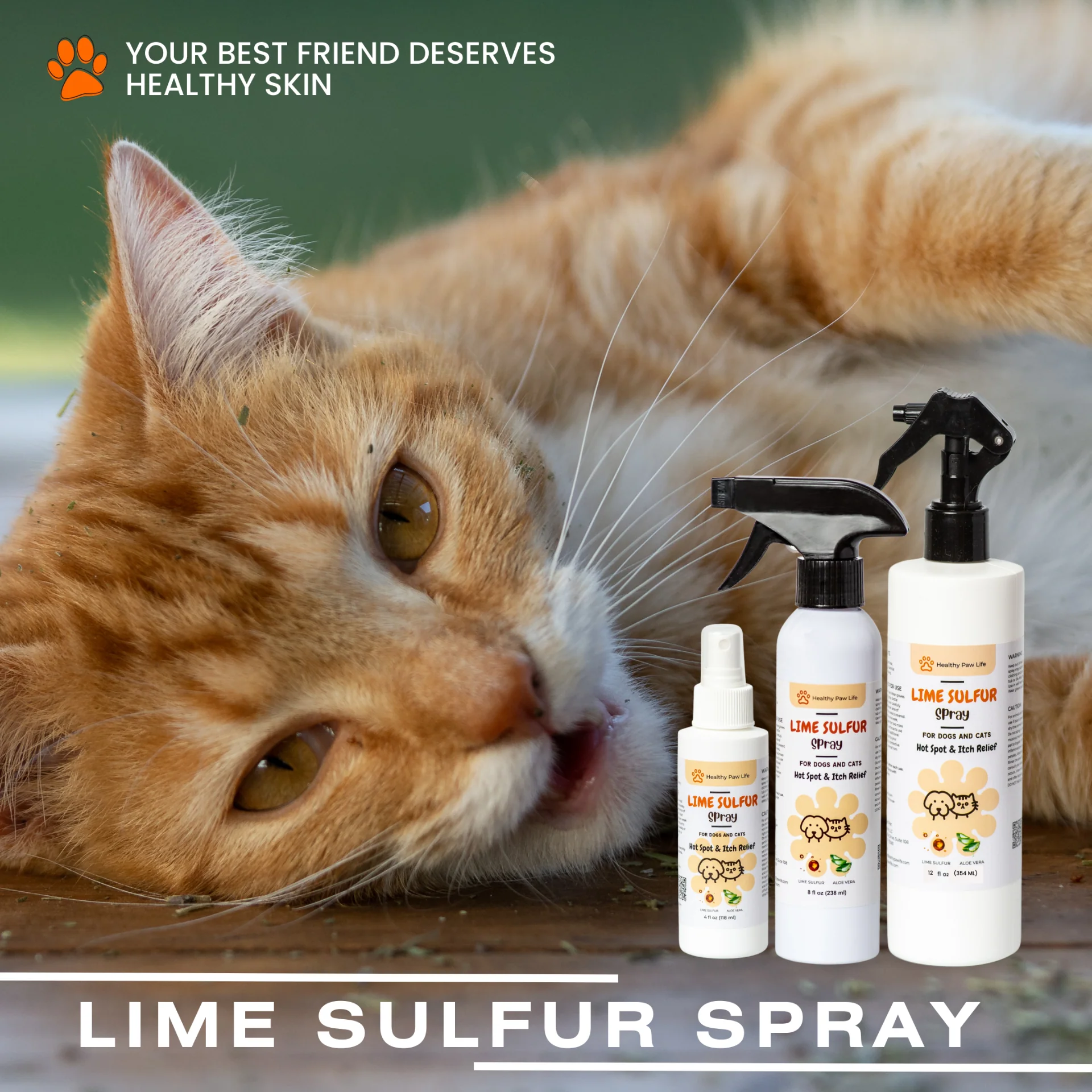 Lime Sulfur Spray - Image 4