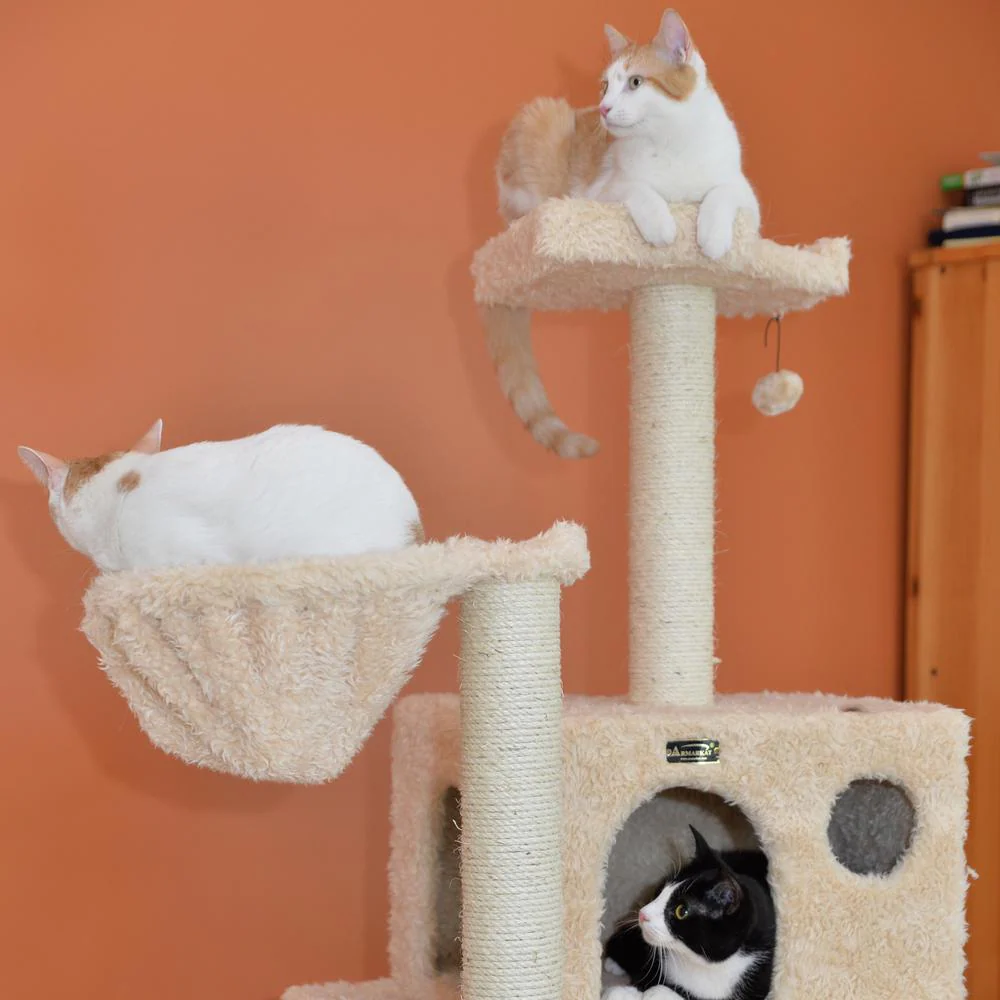 Mult -Level Real Wood Cat Tree Hammock Bed, Climbing Center For Cats And Kittens - Image 3