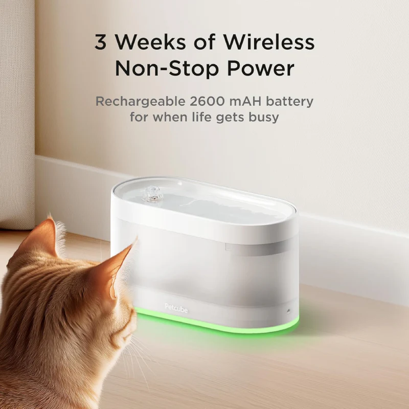 Petcube Automatic Wireless Pet Water Fountain with 4-Layer Filtration - White - Image 10