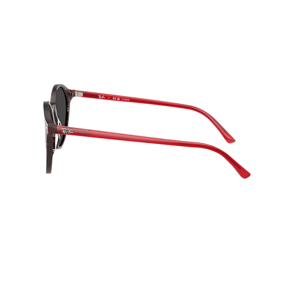 Ray-Ban Bernard RB2230 Unisex Phantos Solid Color Sunglasses - Image 3