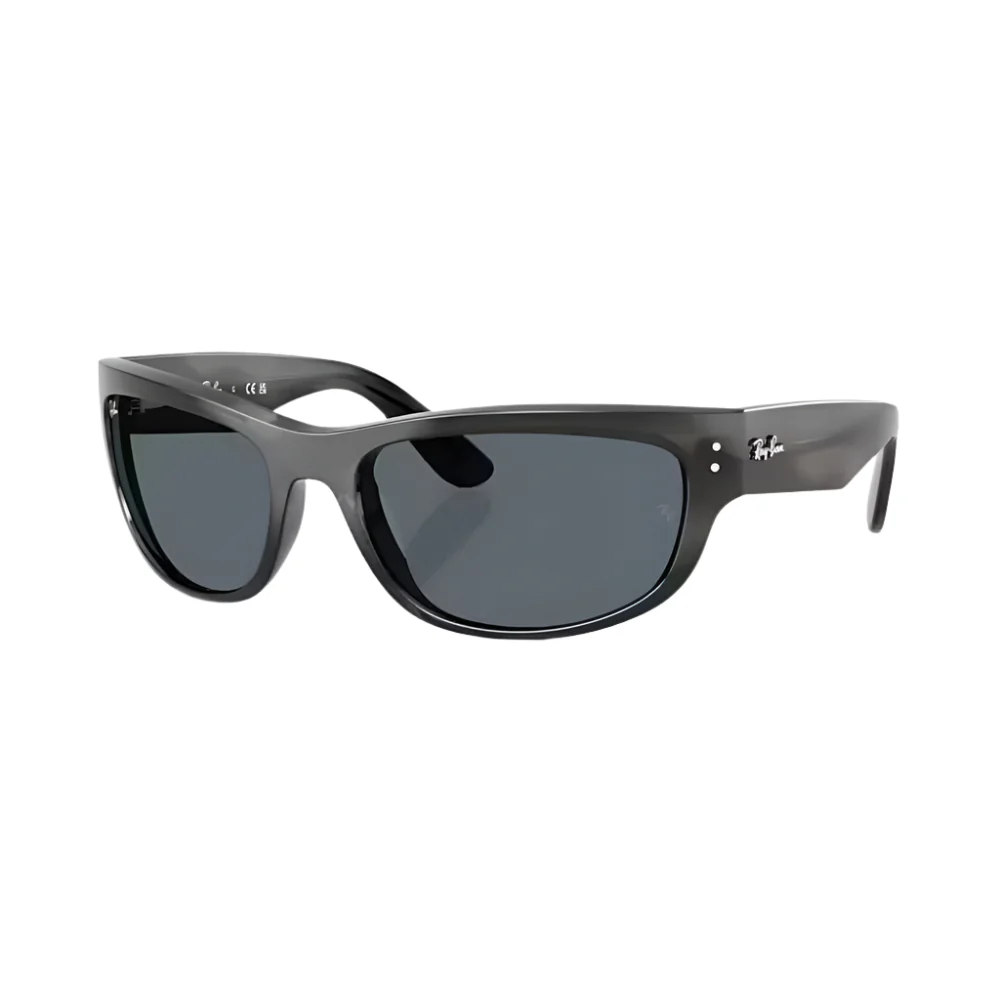 Ray-Ban Mega Balorama RB2289 Unisex Pillow Solid Color Sunglasses