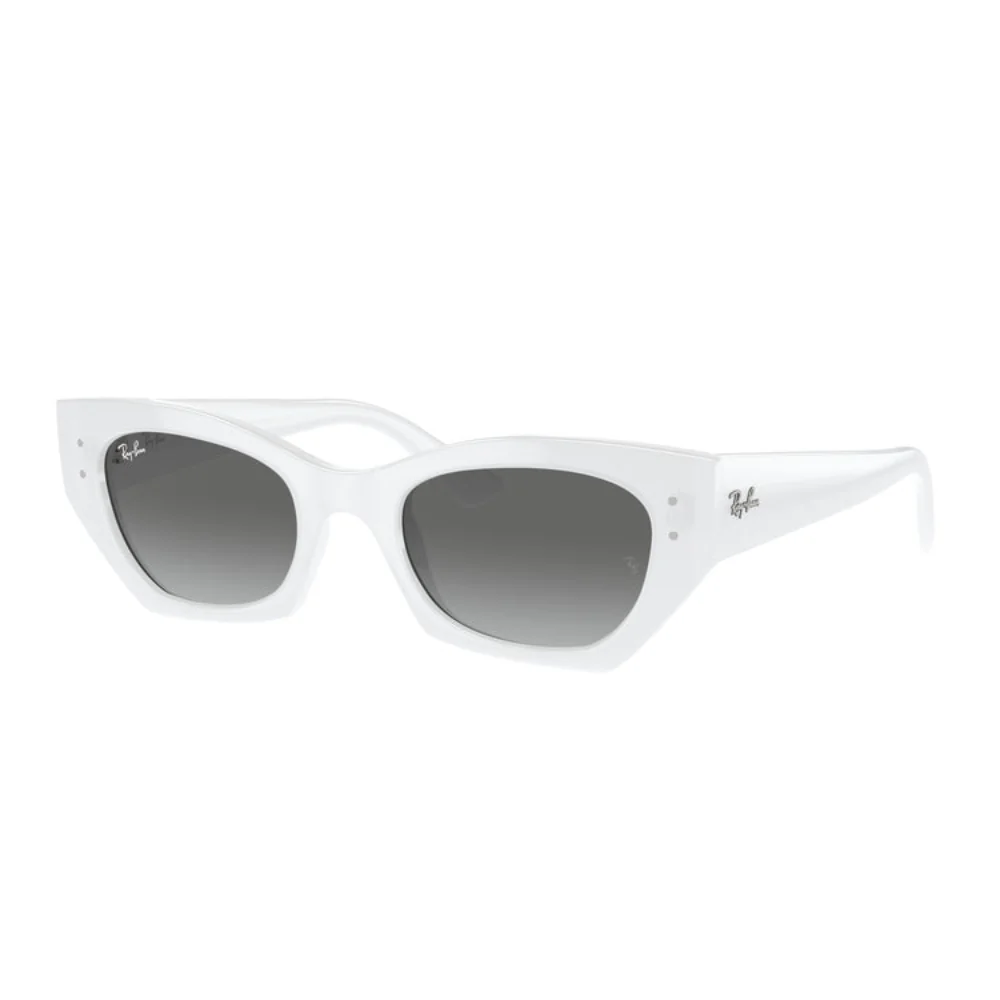 Ray-Ban Zena Bio-Based RB4430526759 Unisex Irregular Solid Color Sunglasses