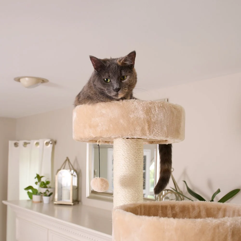 Royal Perch Cat Mansion Tree - Image 10