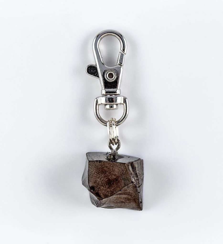Shungite Pet Charm - Image 3