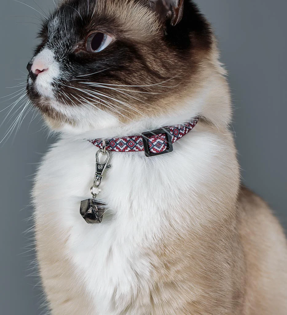 Shungite Pet Charm - Image 5