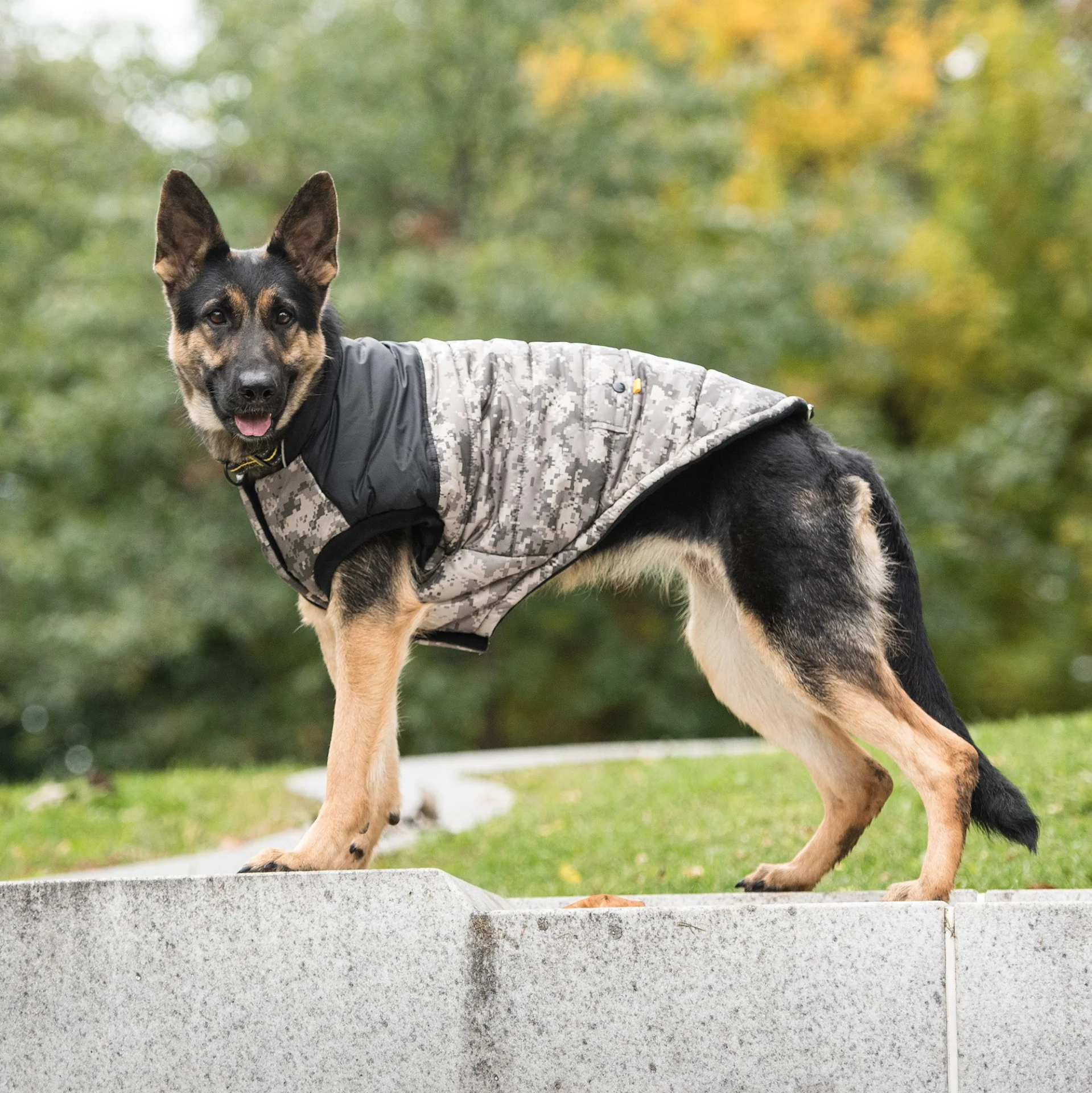US Army Dog Jacket - Camo - Image 2