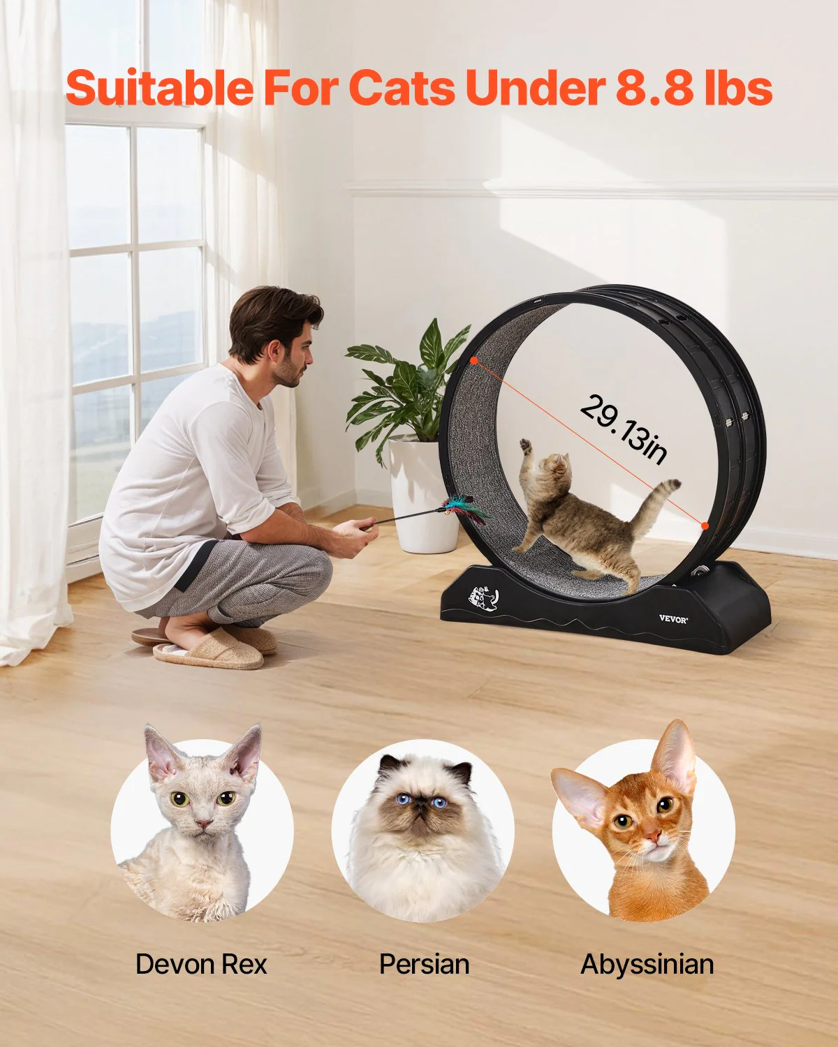 VEVOR Cat Exercise Wheel 31.5 in Large Indoor Cat Running Wheel Treadmill Black - Image 3