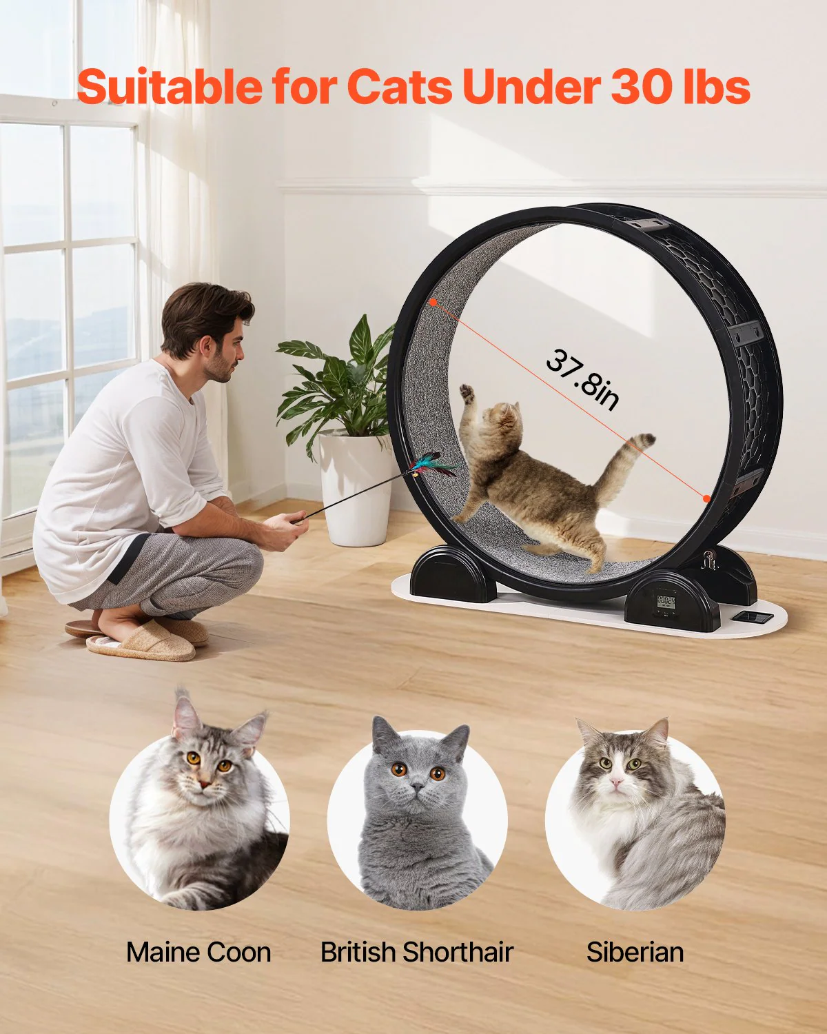 VEVOR Cat Exercise Wheel with Pedometer 40.8" Cat Treadmill for Pet Health Black - Image 3