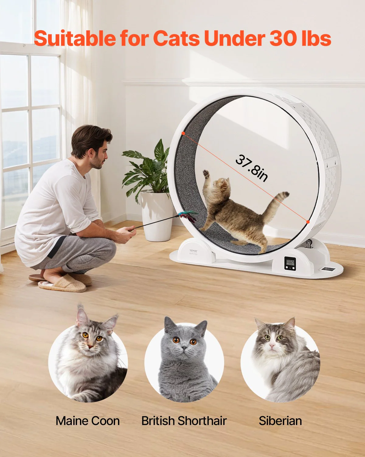 VEVOR Cat Exercise Wheel with Pedometer 40.8" Cat Treadmill for Pet Health White - Image 3