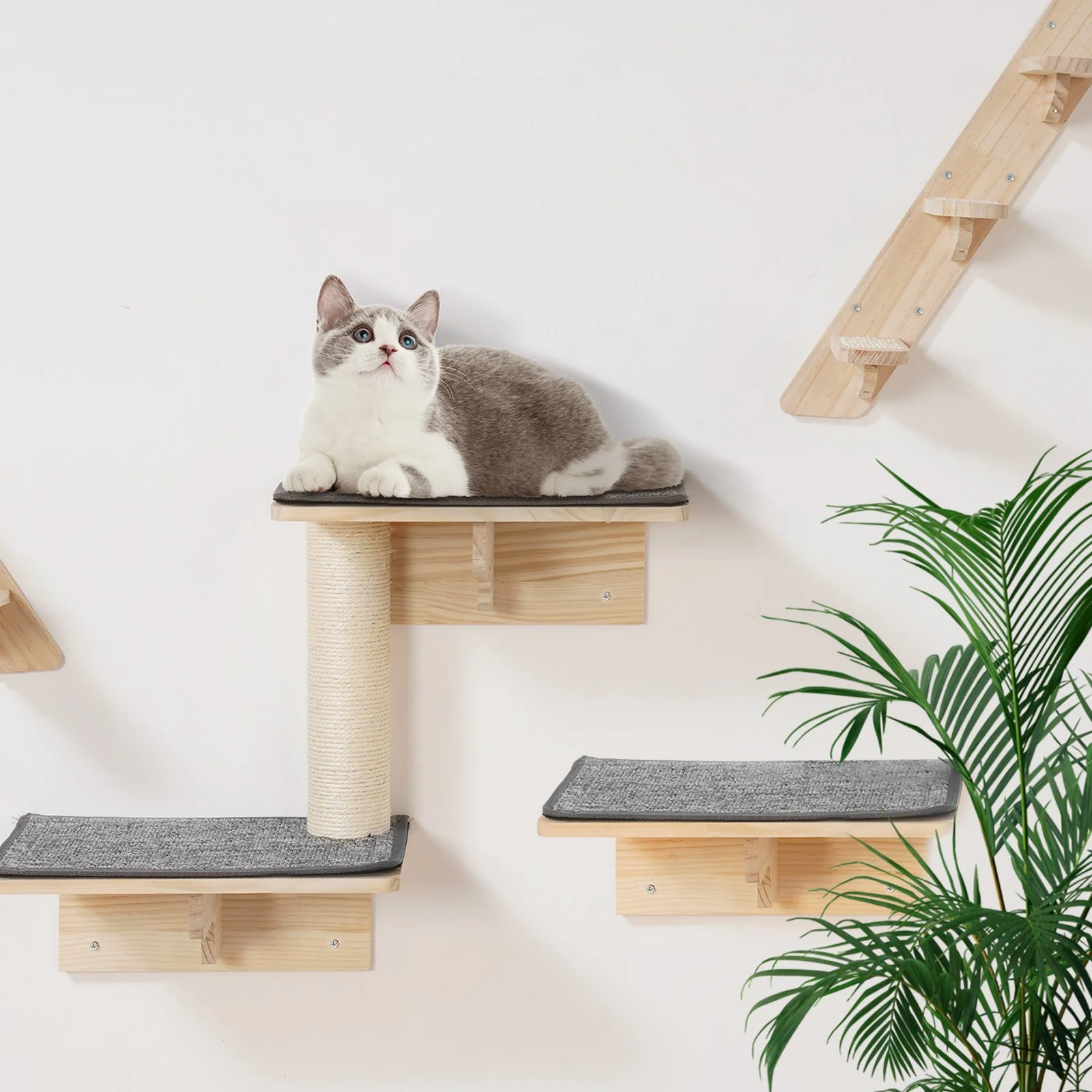 VEVOR Wall Mounted Cat Shelves Tree with Jumping Boards Nests Hammock Set of 9 - Image 7