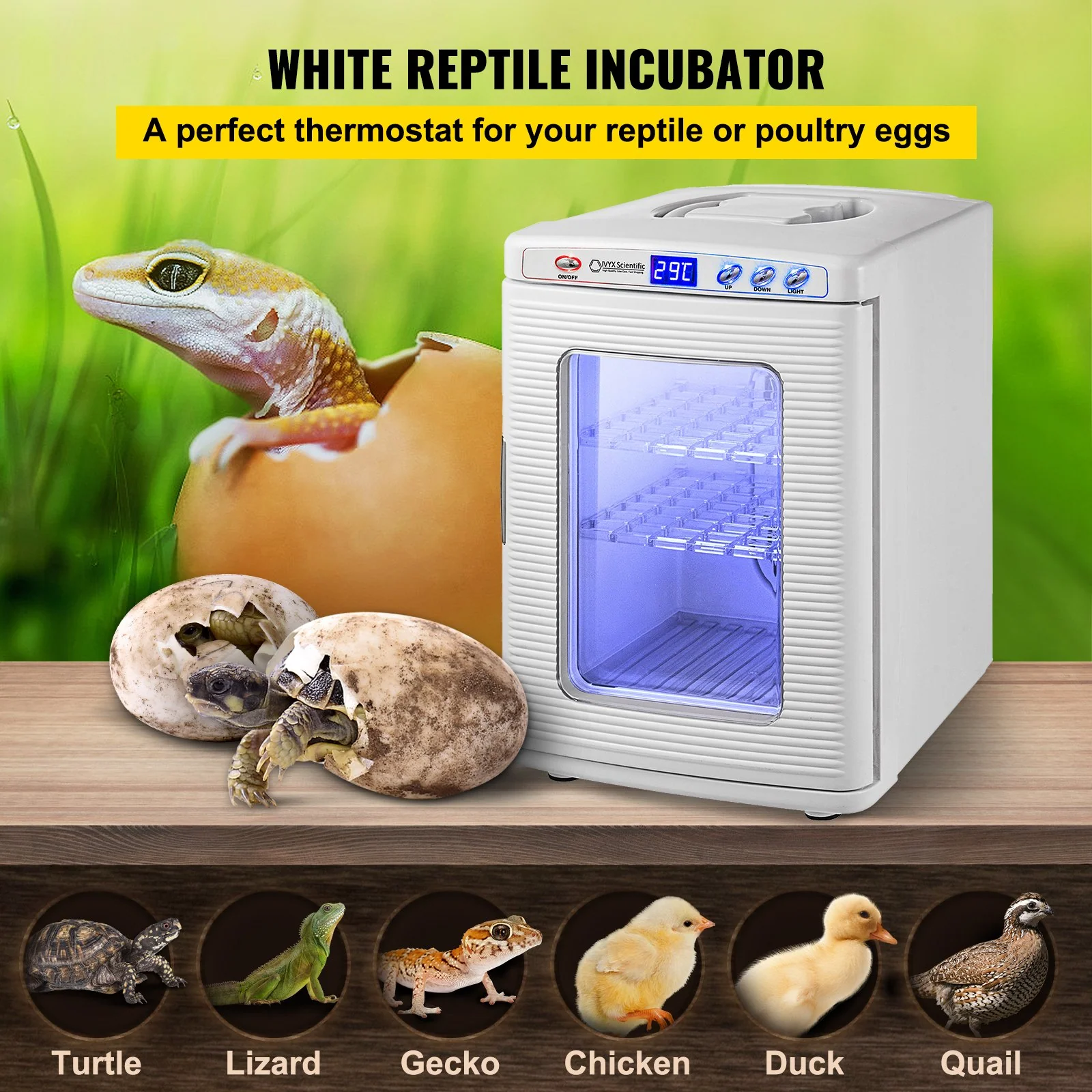 VEVOR White Reptile Incubator 25L Scientific Lab Incubator Digital Incubator Cooling and Heating 5-42°C Reptile Egg Incubator 12V/110V Work for Small Reptiles